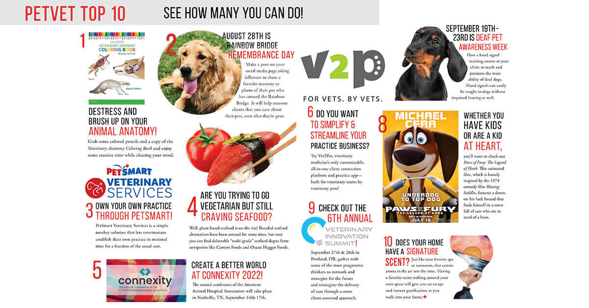 PetVet Magazine - A Practical Guide For Pet Health Professionals